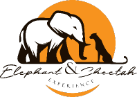Elephant and Cheetah Experience