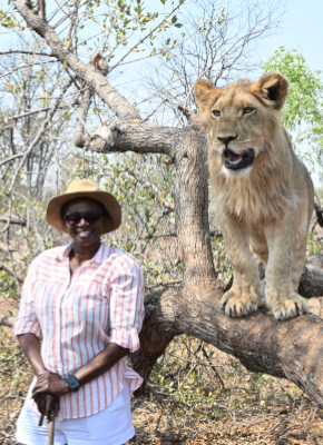 Lion guided walks image