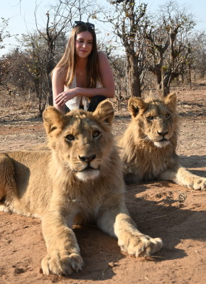 Lion guided walks image