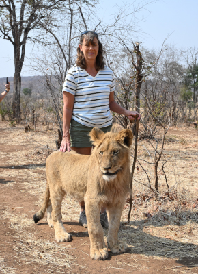 Lion guided walks image