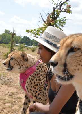 Wildlife Excursion + Zambezi Cruise Combo image