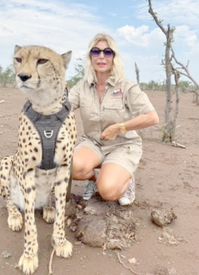 Cheetah experience image