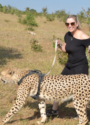 Cheetah experience image
