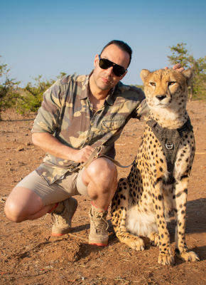 Cheetah experience image