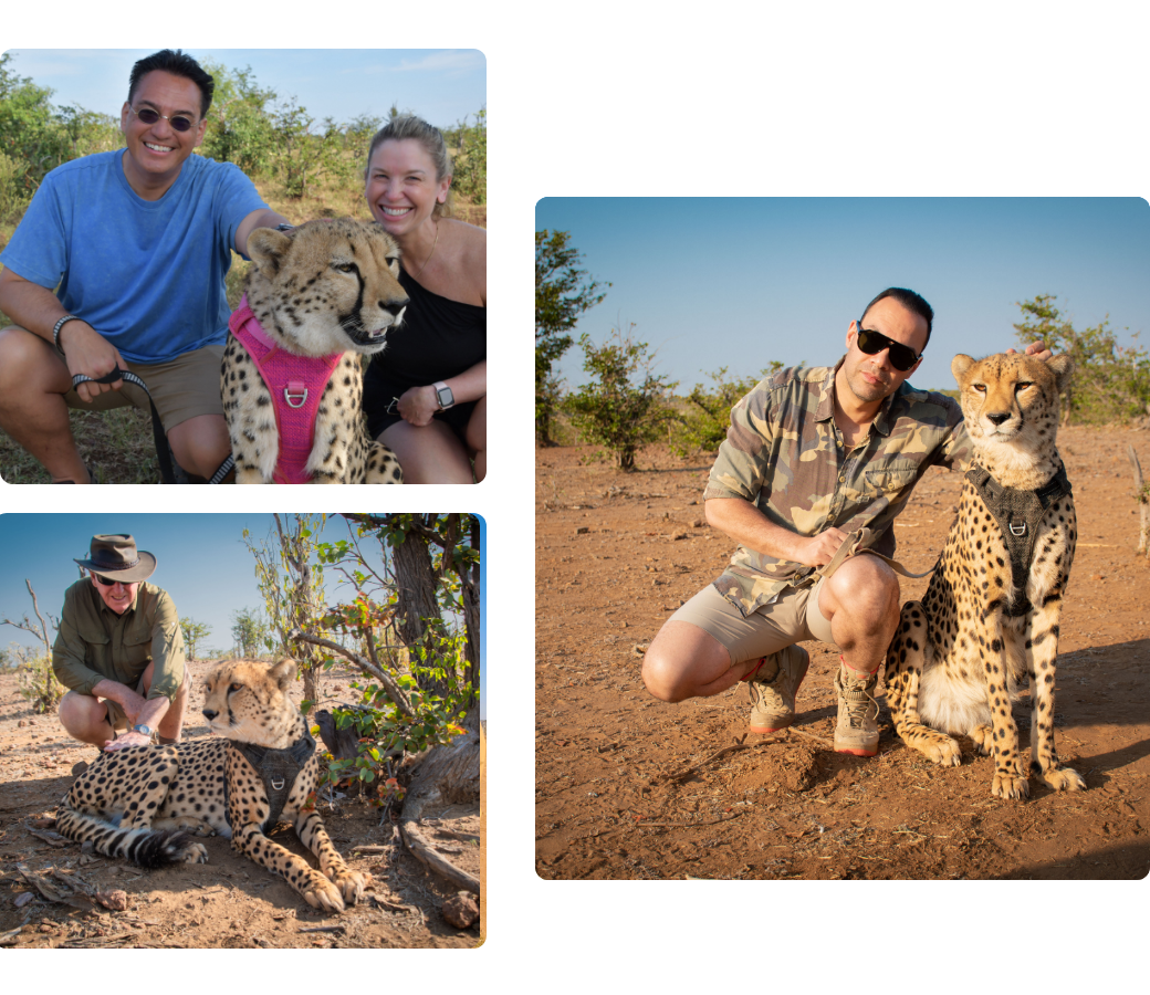 African Signature Experience – Overview - image
