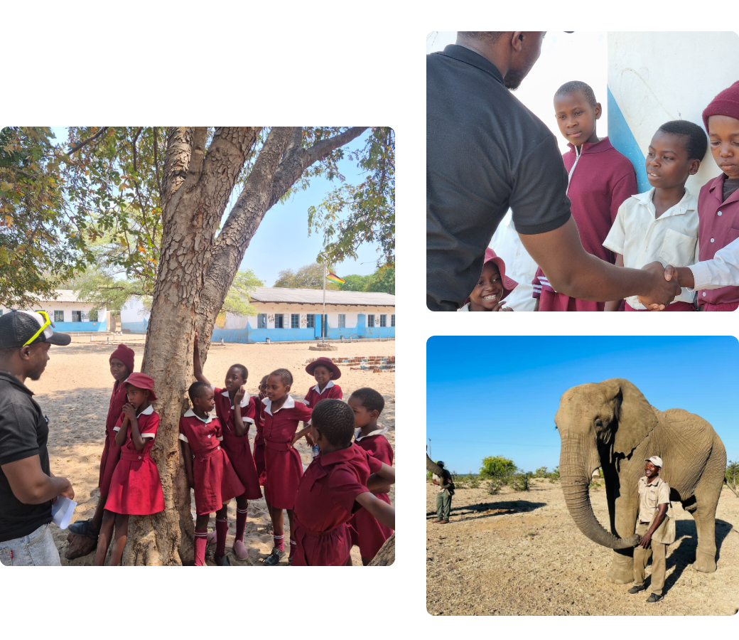 Elephant & Cheetah Experience