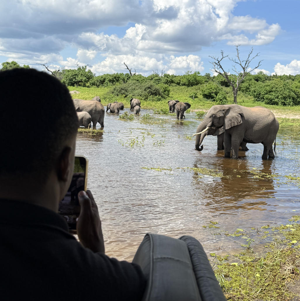 Chobe - Botswana