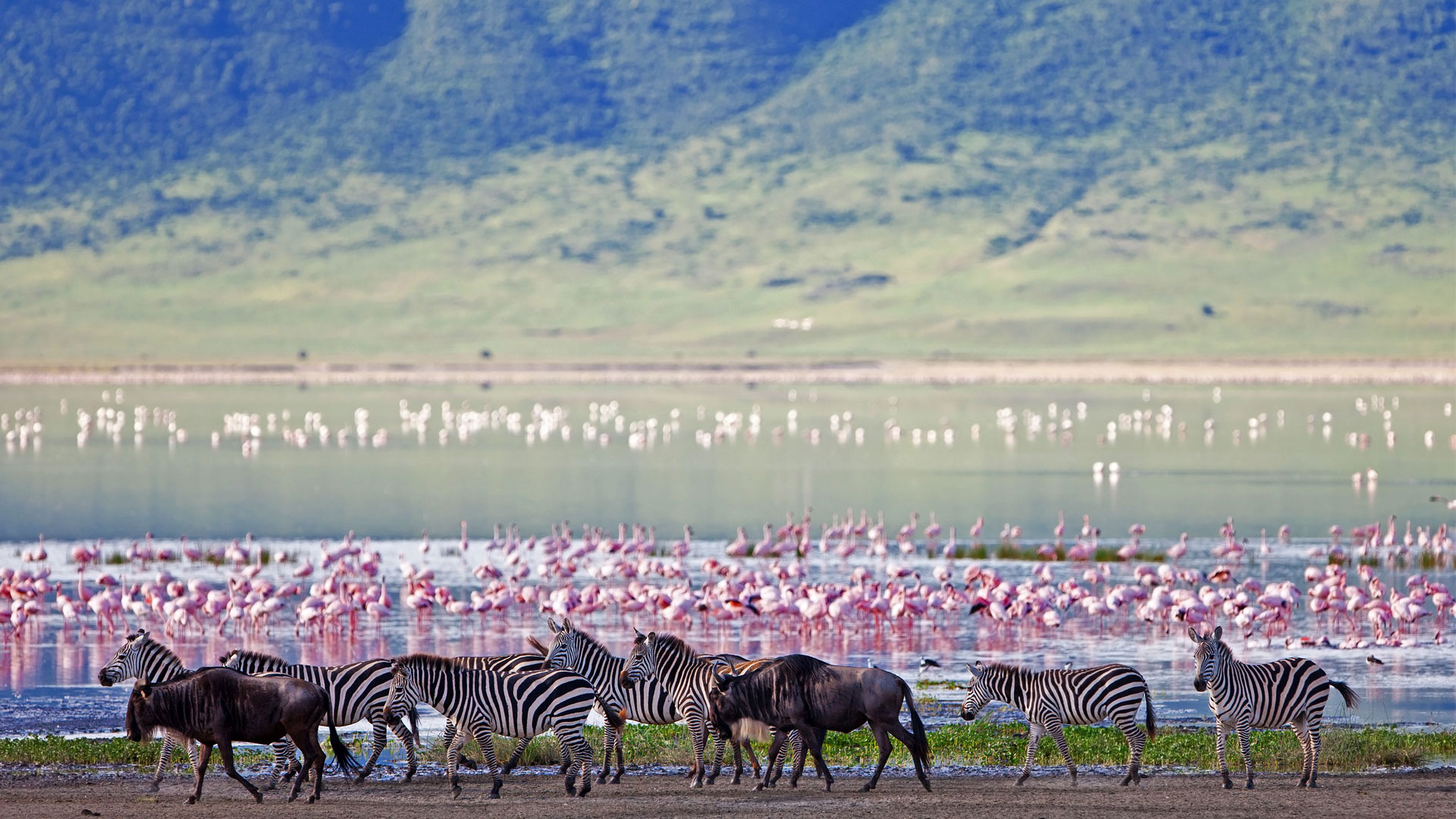 Tanzania