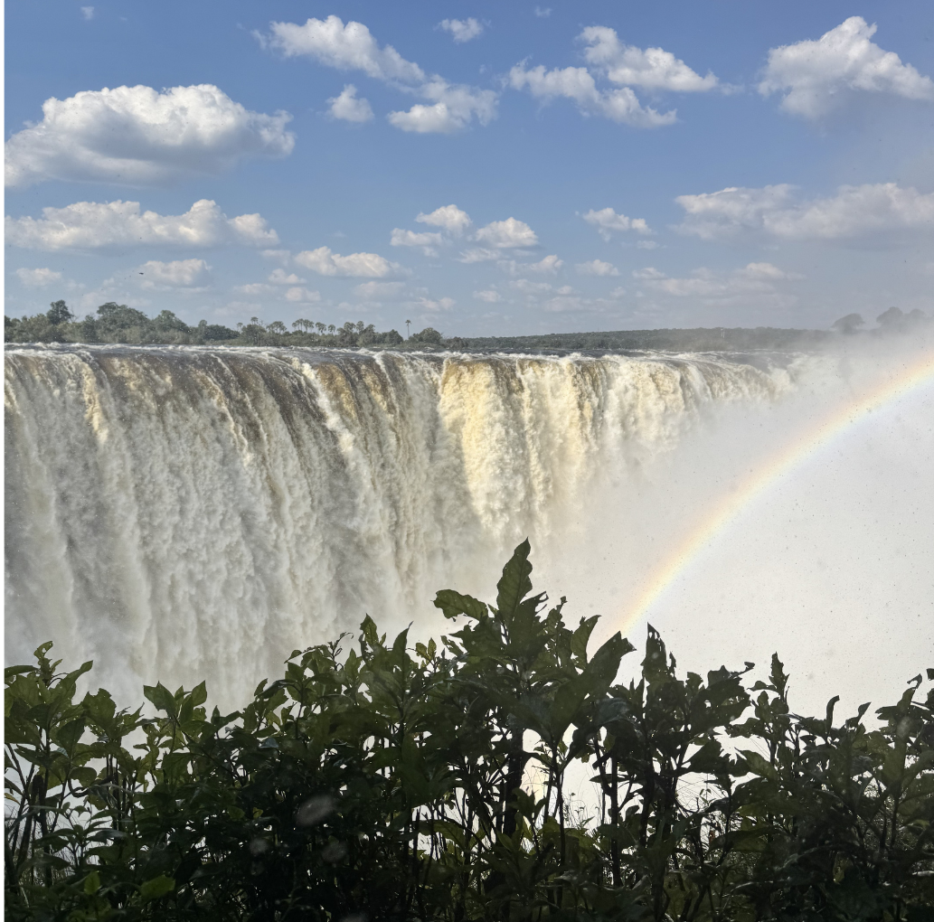 Victoria Falls tour and afternoon safari​