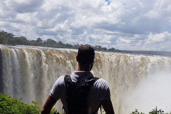 Guided Tour of the Falls