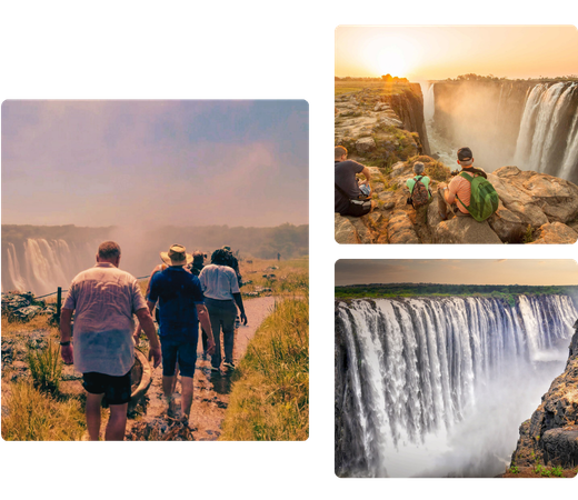 Safari experience – Overview - image