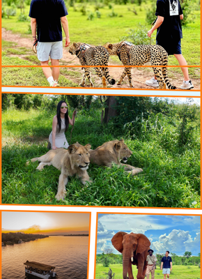 Wildlife Excursion + Zambezi Cruise Combo