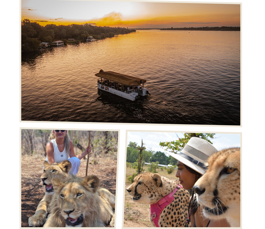 Wildlife Excursion + Zambezi Cruise Combo