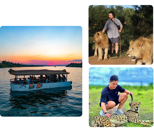 Safari experience – Overview - image
