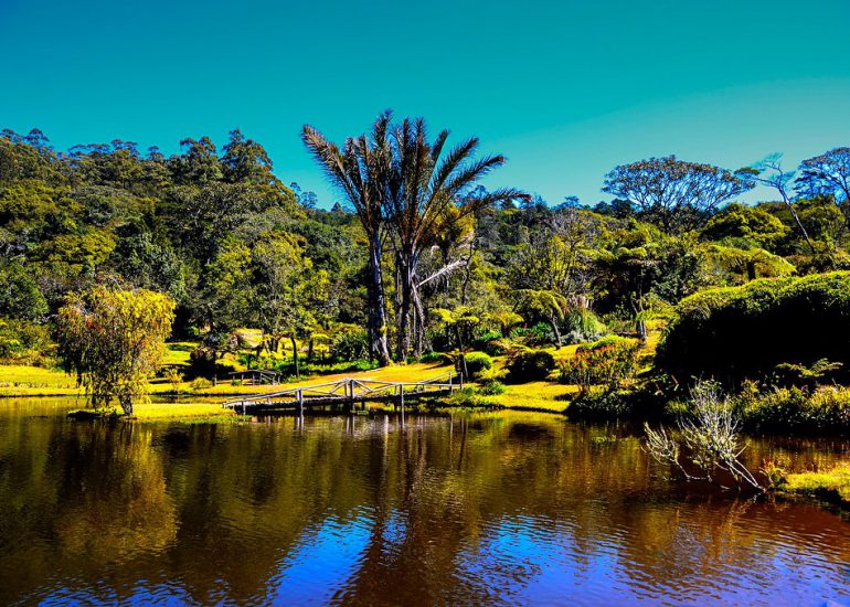Nyanga to Vumba